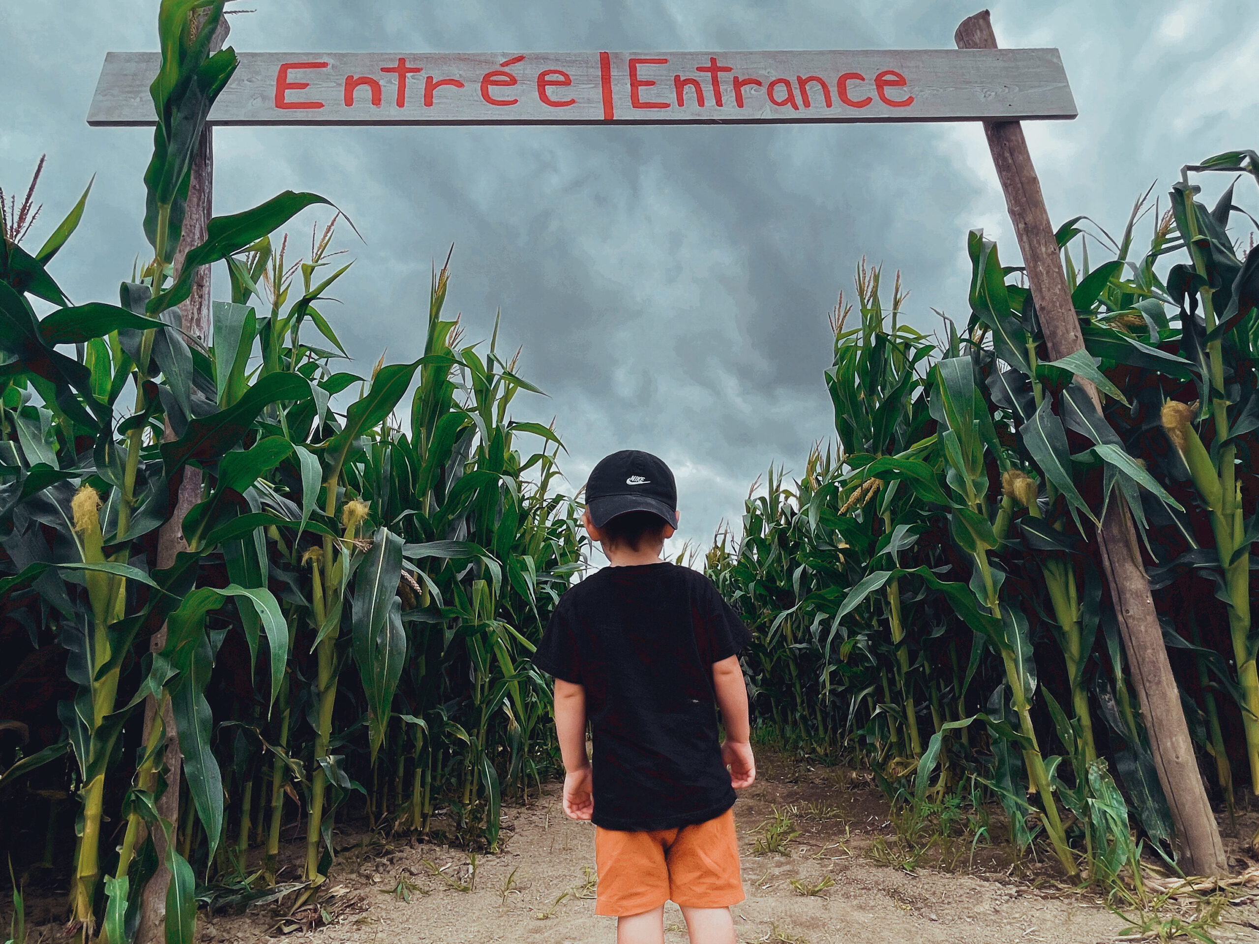 Enfant qui se tient deevant l'entrée du labyrinthe de maïs à la ferme forget à Lavall